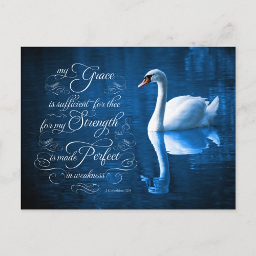 Grace Bible Verse Mute Swan Postcards