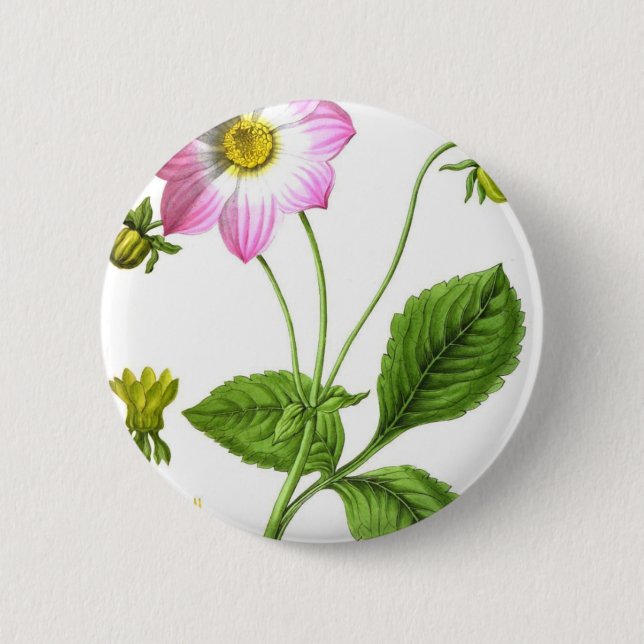 Grace Button (Front)