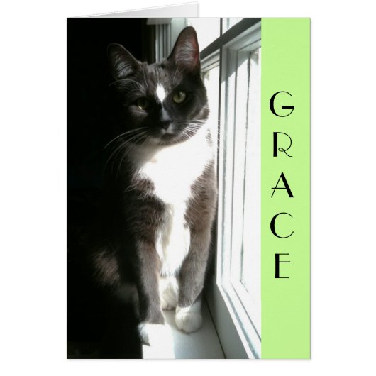 Grace Cards (Front)