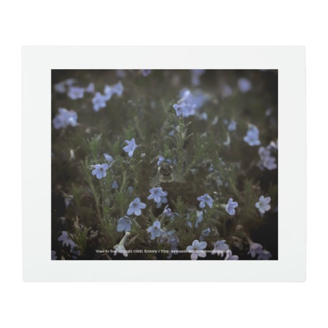 Grace for Bees Metal Print (Front)