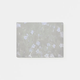 Grace for Bees Post-it Notes