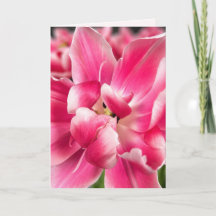 Grace in Every Season | Pink Tulip Folded Greeting