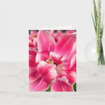 Grace in Every Season | Pink Tulip Folded Greeting