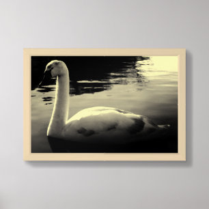 Grace in Stillness – Swan Poster in Soft Sepia