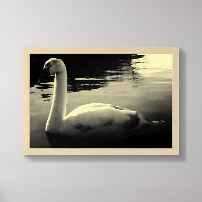 Grace in Stillness – Swan Poster in Soft Sepia (Framed Front)