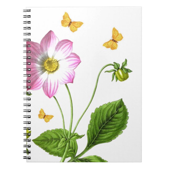 Grace Notebook (Front)