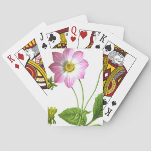 Grace Poker Cards