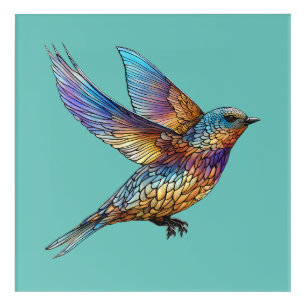 "Graceful Aviator" Multi-coloured Swift Bird Acrylic Print