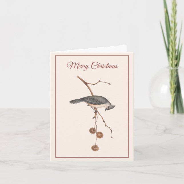 Graceful Bird on a Branch Pink Christmas Holiday Card (Front)