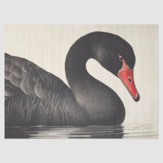 Graceful Black Swan in Ornithology Decoupage Style Tissue Paper