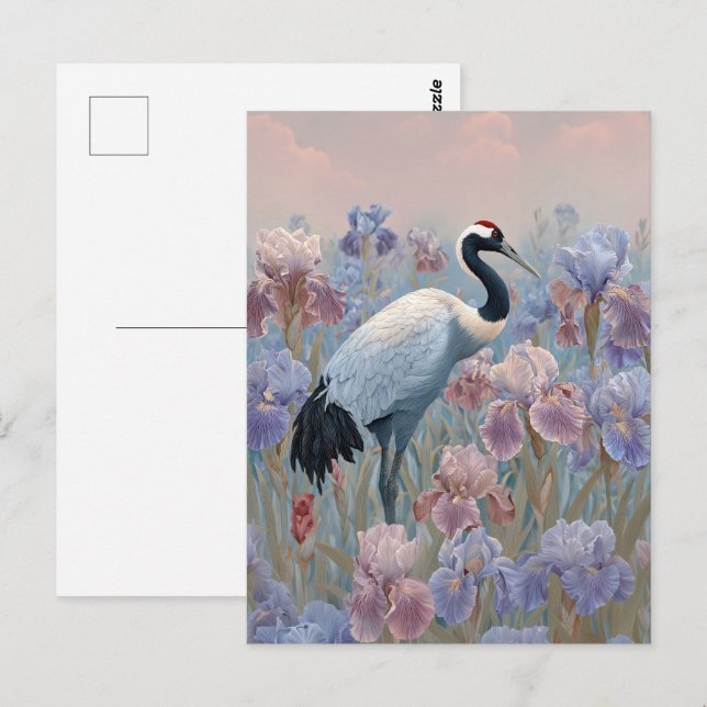 Graceful Crane Field of Blooming Irises Postcard (Front/Back)