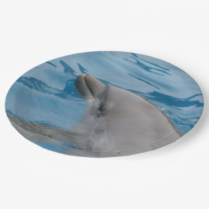 Graceful Dolphin Swimming in Clear Blue Water Paper Plates
