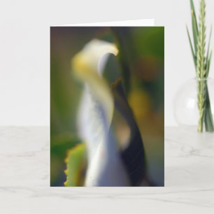 Graceful Floral Folded Blank Card