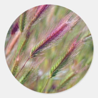 Graceful Foxtails Classic Round Sticker