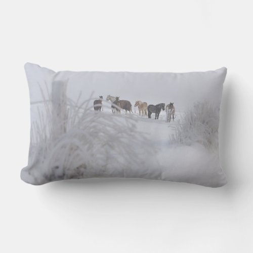 Graceful Gallop Pillow Collection