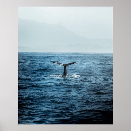 Graceful Giants Majestic Whale Tail in Open Ocean Poster