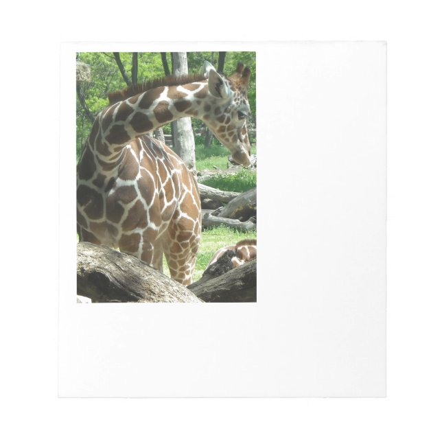 Graceful Giraffe Notepad (Front)