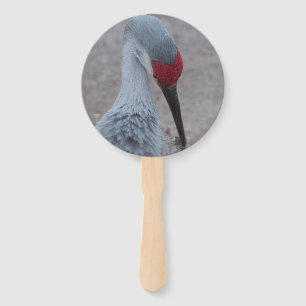 graceful gray and red Sand Hill Crane fan