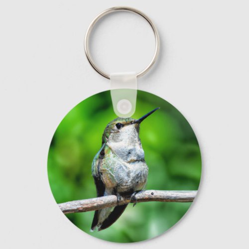 Graceful Hummingbird _ Nature Photograph Keychain