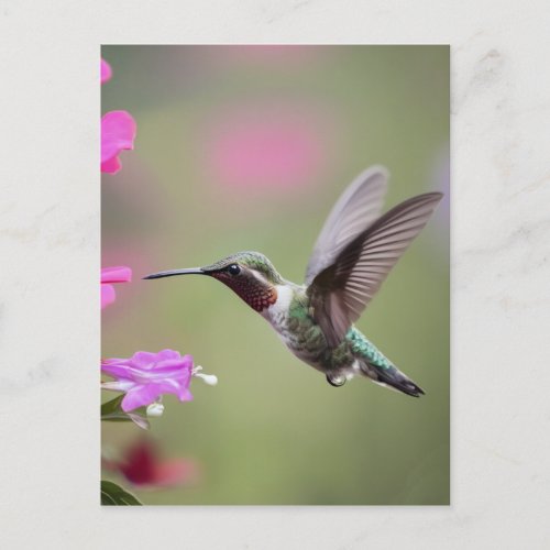 Graceful Hummingbird_ Nature Photography Postcard