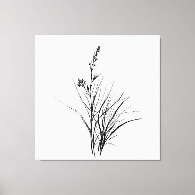 Graceful Monochrome Detailed Reeds Sketch Drawing Canvas Print (Front)