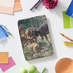 Graceful Nyala Antelope in African Landscape iPad Pro Cover
