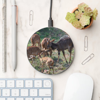 Graceful Nyala in African Landscape Wireless Charger