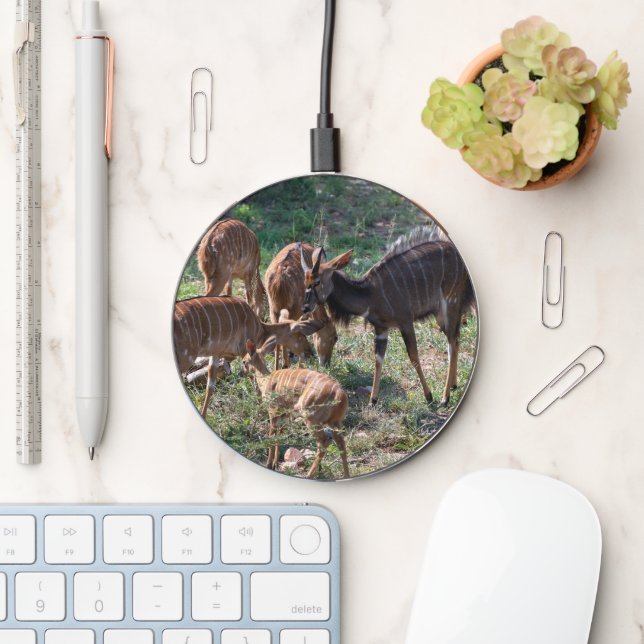 Graceful Nyala in African Landscape Wireless Charger (Desk)