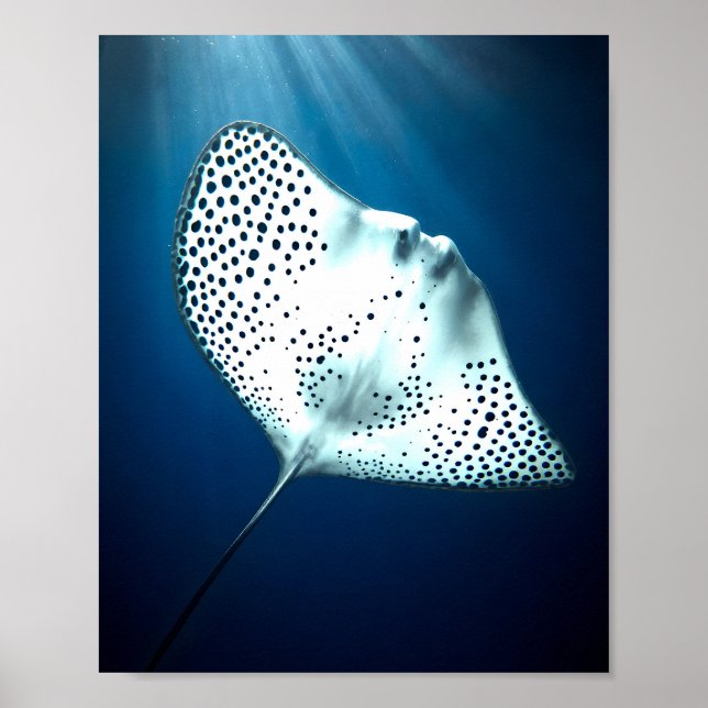 Graceful Spotted Ray: Underwater Serenity Poster (Front)