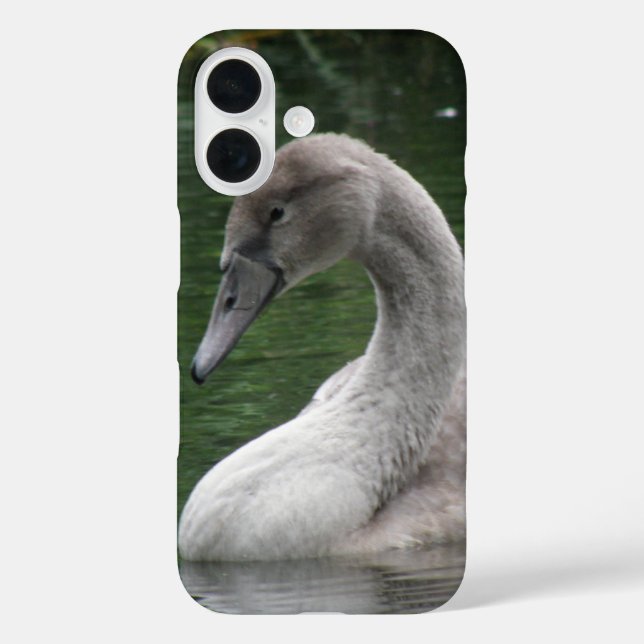 Graceful Swan on the Water Case-Mate iPhone Case (Back)