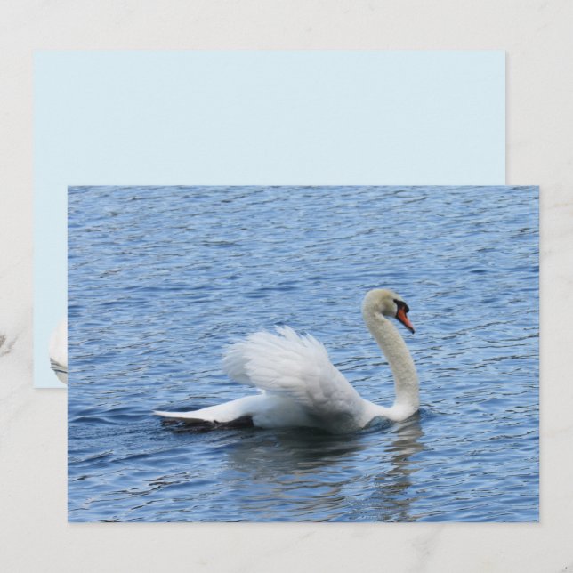 Graceful Swan Photo Flat Card (Front/Back)