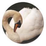 Graceful Swan  Stickers