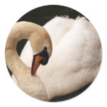 Graceful Swan  Stickers