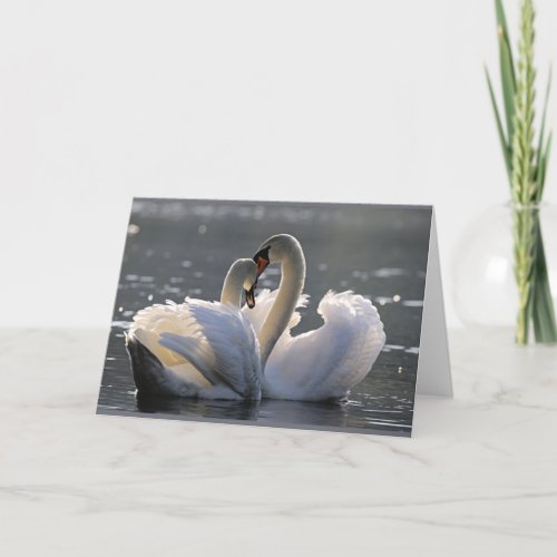 Graceful swans card