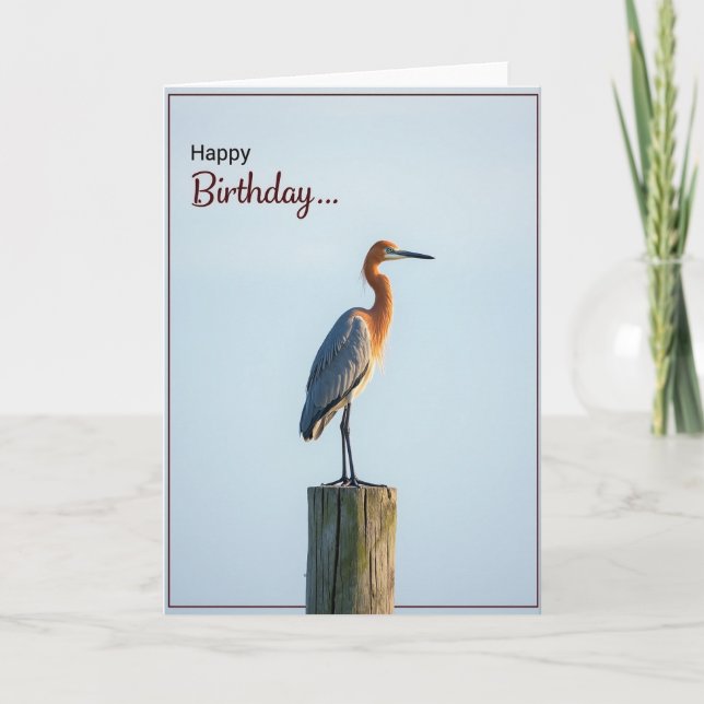 Graceful Wader Birthday Card (Front)