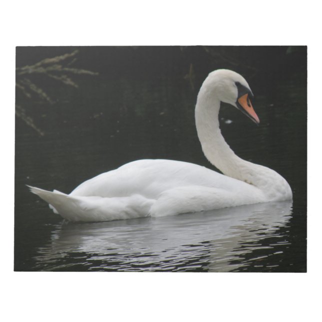 Graceful White Swan Notepad (Front)
