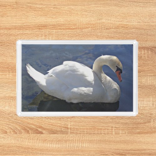 Graceful White Swan on Lake Photo Acrylic Tray