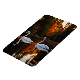 Graceful White Swans Gliding Across Autumn Pond Magnet