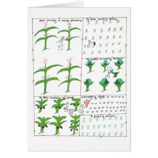 Grace's Family's Garden Cards (Front)