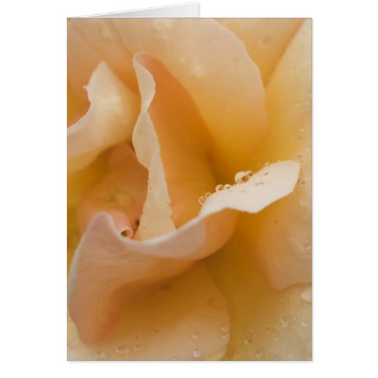 Grace's Gentle Touch Card (Front)