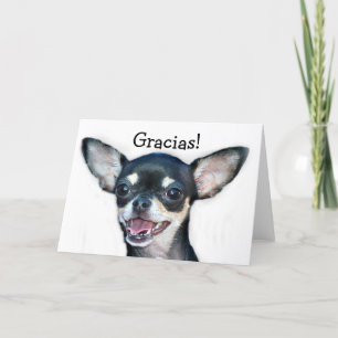 Gracias Chihuahua greeting card