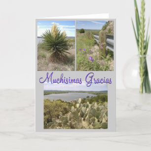 Gracias! Letterpress Thank You Card