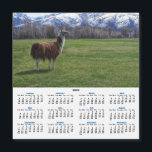 Gracie, the Llama, Surveys 2025 Calendar Card<br><div class="desc">Gracie,  a llama,  surveys her domain,  the beautiful green pasture at the foot of the Ruby Mountains in Nevada. The bottom has a 2025 Calendar. Designed by Diane Blackman.</div>