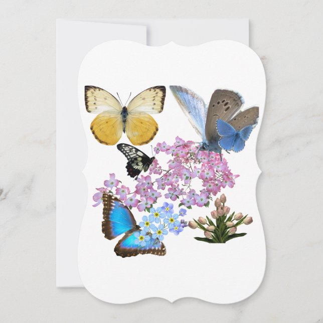Gracious Butterflies and Flowers (Front)