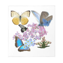 Gracious Butterflies and Flowers