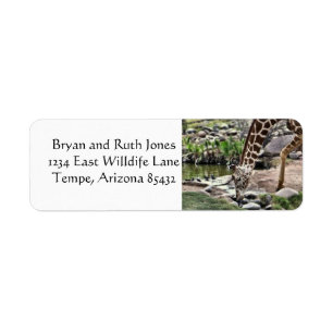 Gracious Giraffe Label
