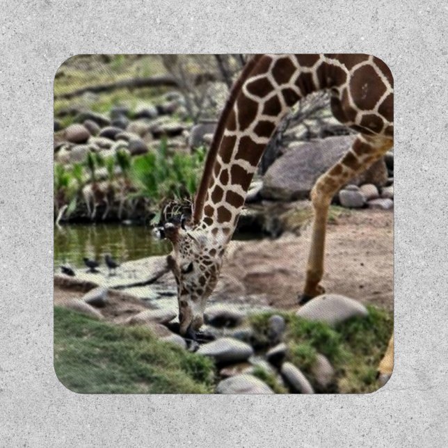 Gracious Giraffe  Patch (Front)