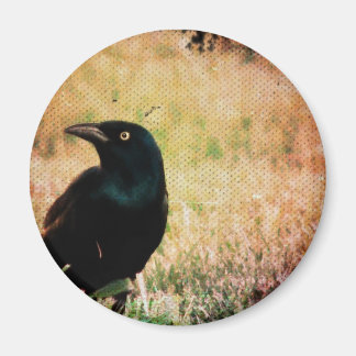 Grackle 3 magnet