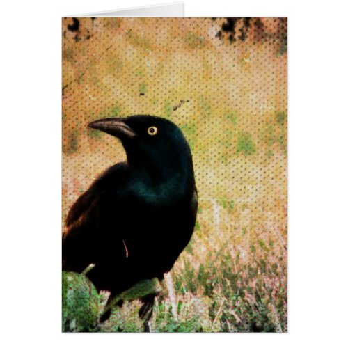 Grackle Bird All Occasions Greeting Card