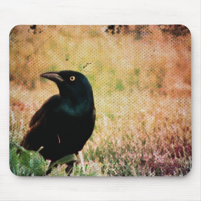 Grackle Bird Mouse Pad (Front)